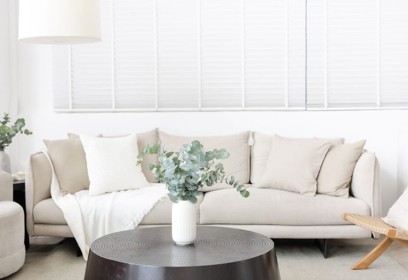 Minimalist interior