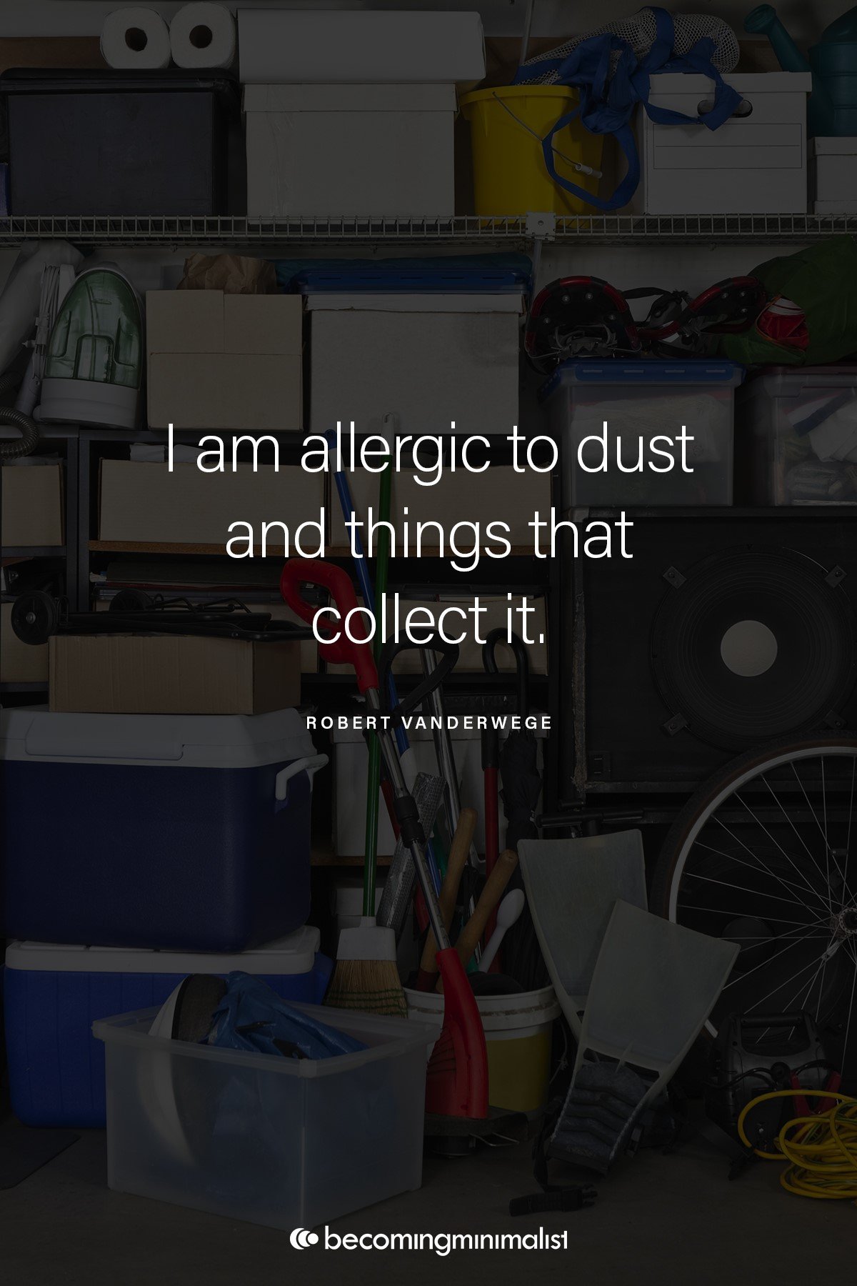 I am allergic to dust and things that collect it.
